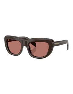 Acetate Sunglasses in Brown