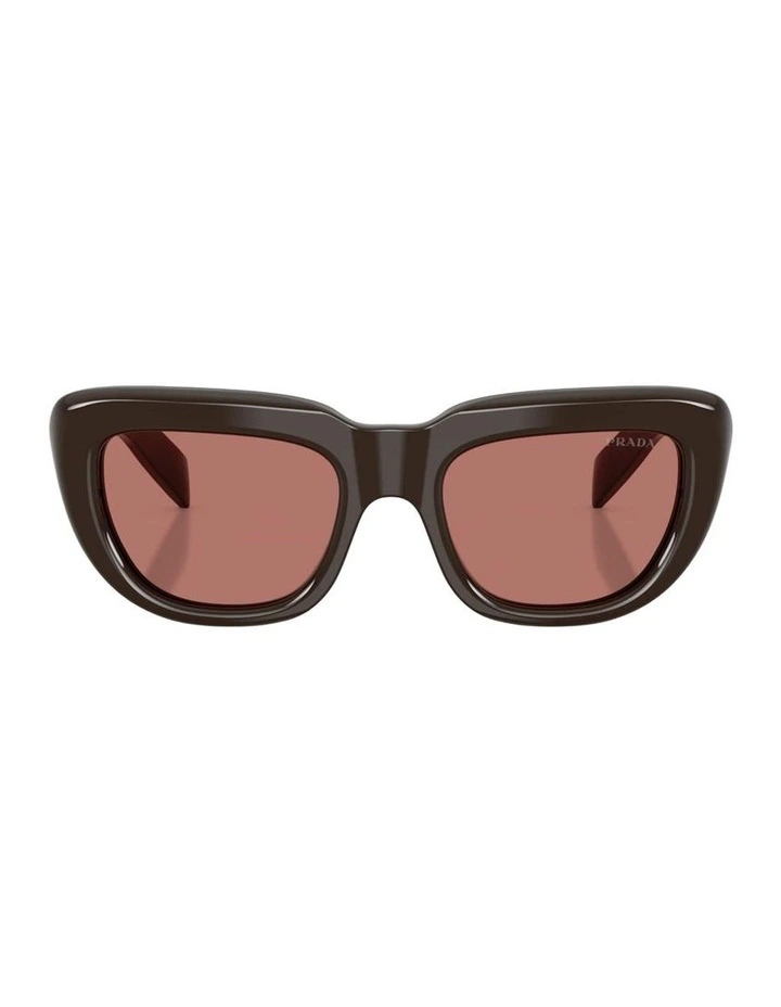 Acetate Sunglasses in Brown image 2