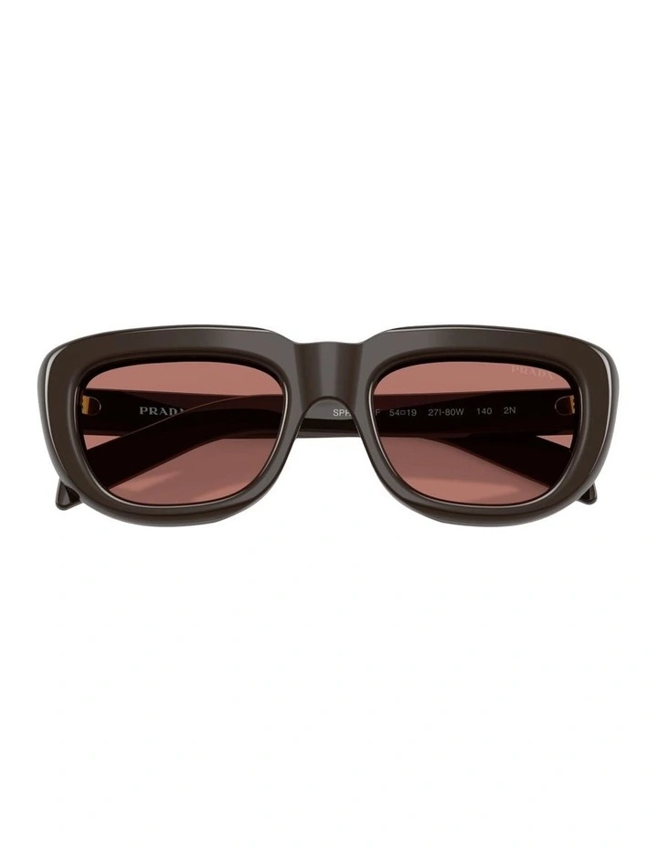 Acetate Sunglasses in Brown image 4