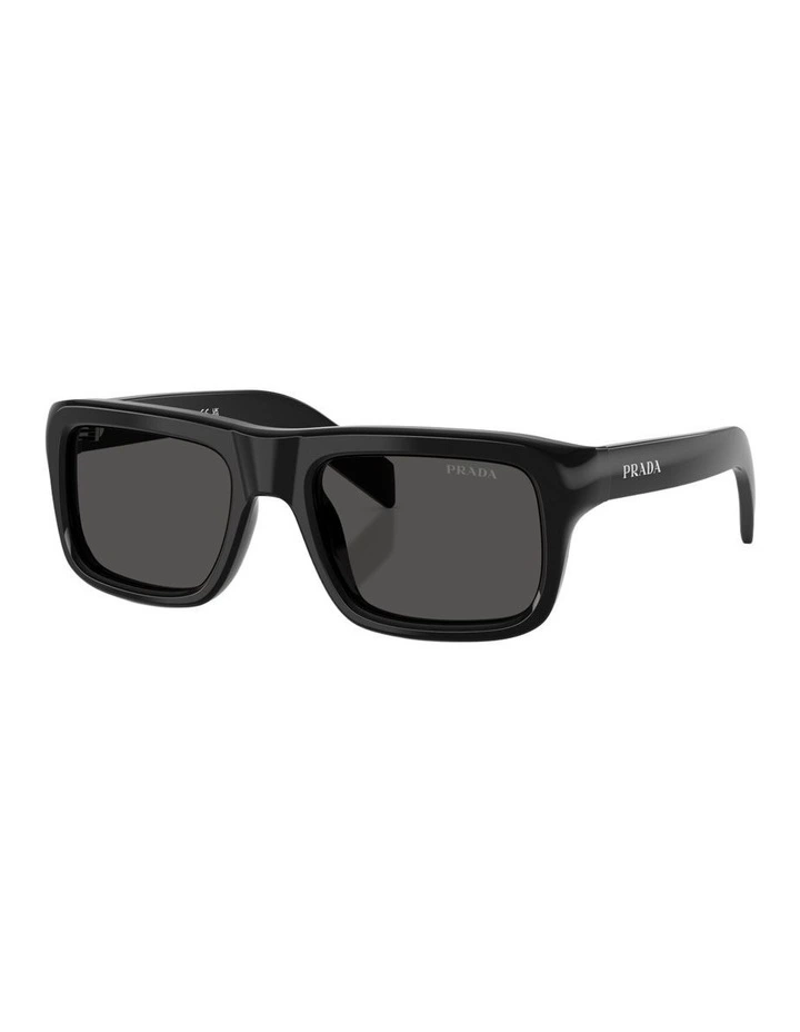 Acetate Sunglasses in Black image 1