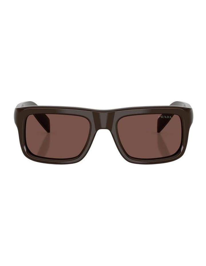 Acetate Sunglasses in Brown image 1