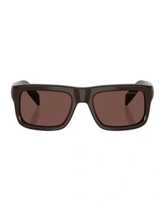 Acetate Sunglasses in Brown