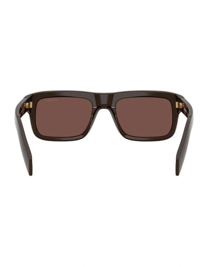 Acetate Sunglasses in Brown image 2