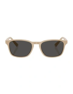 Acetate Sunglasses in Brown