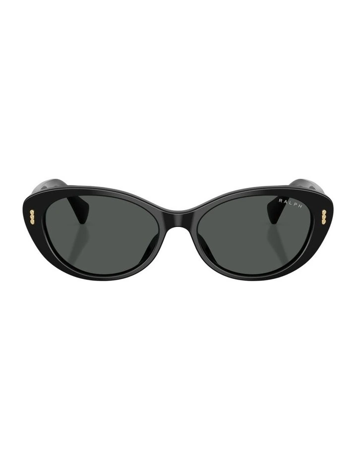 Acetate Sunglasses in Black image 1