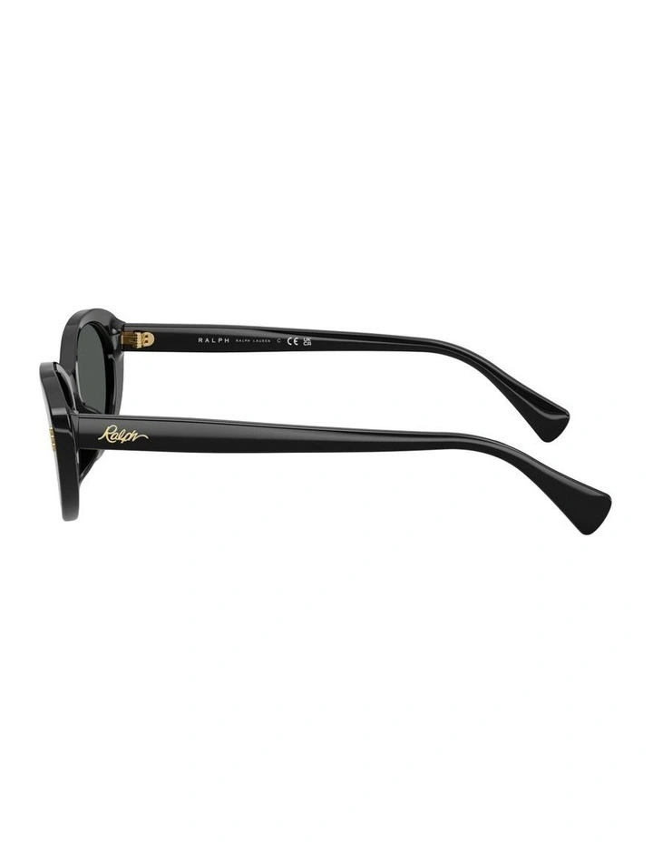 Acetate Sunglasses in Black image 3