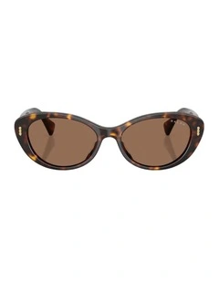 Acetate Sunglasses in Brown