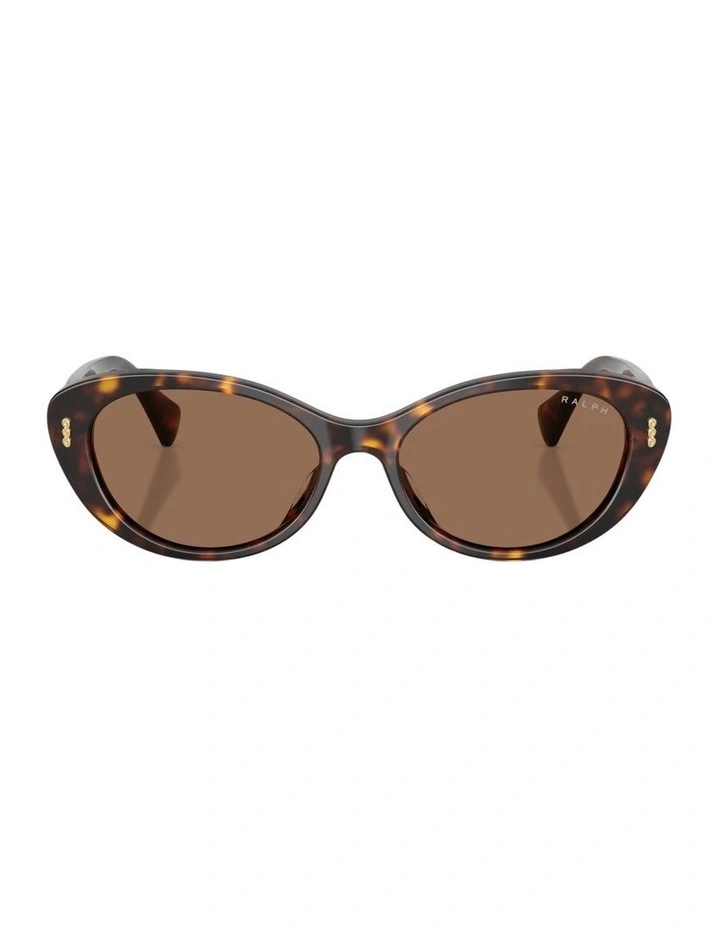 Acetate Sunglasses in Brown image 1