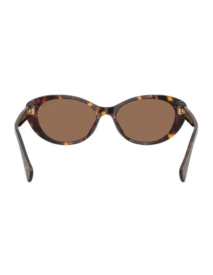 Acetate Sunglasses in Brown image 2
