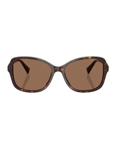 Acetate Sunglasses in Tortoise