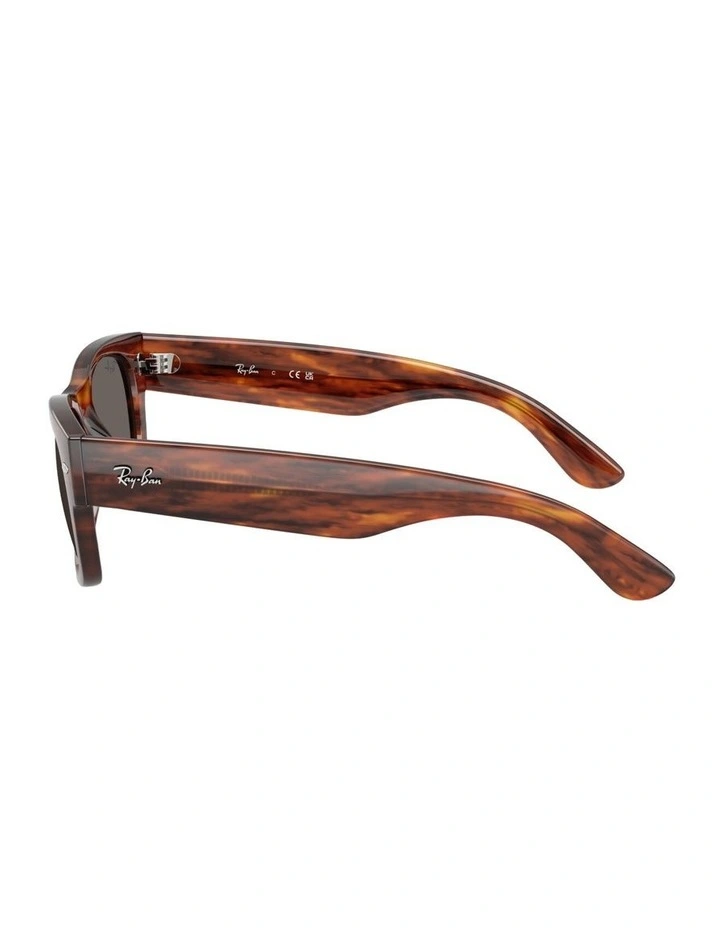 Mega Wayfarer II Propionate Sunglasses in Brown image 3