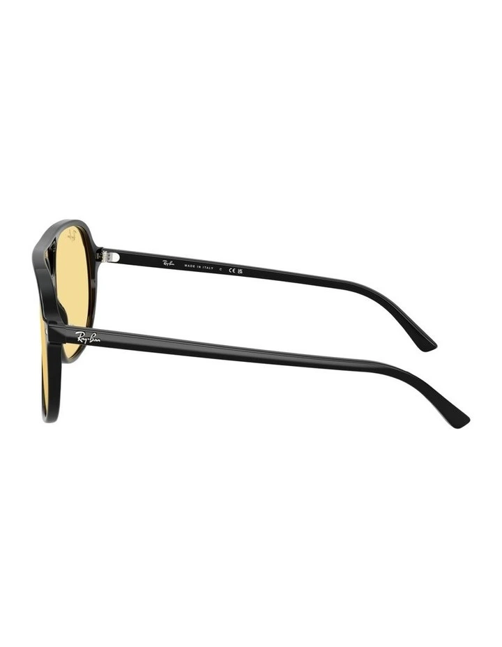Bill Summer Capsule Acetate Sunglasses in Black image 2