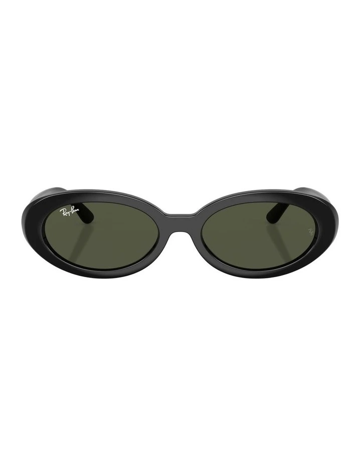 RB2223 Propionate Sunglasses in Black image 1
