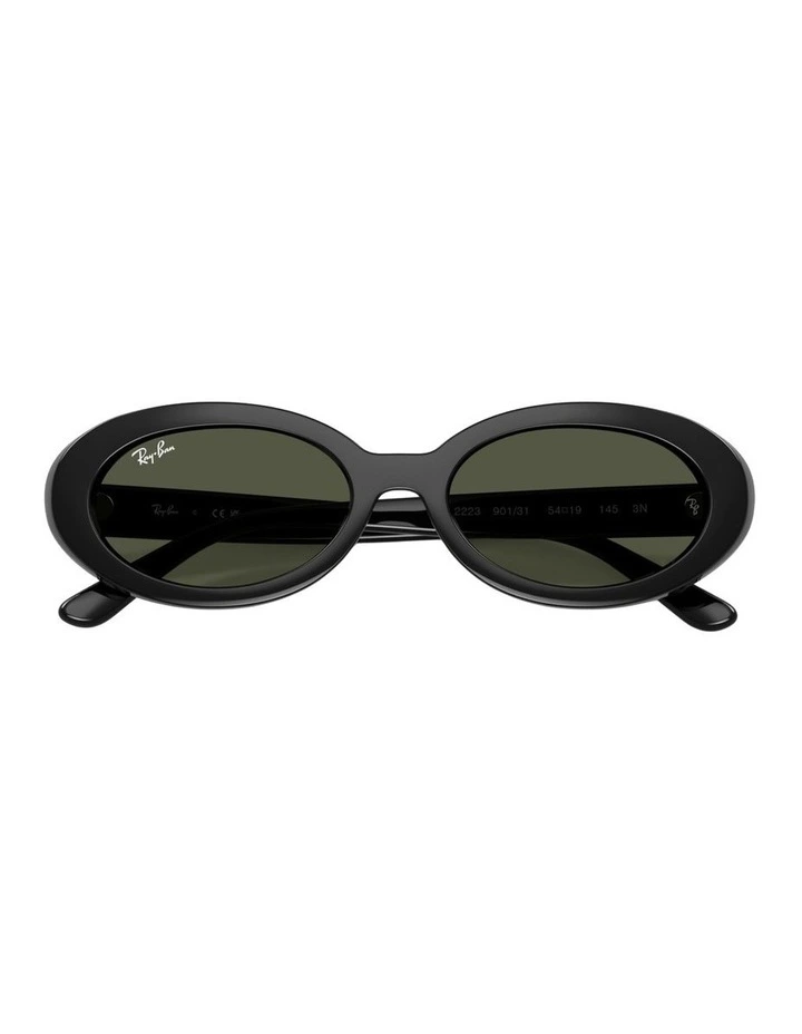 RB2223 Propionate Sunglasses in Black image 3