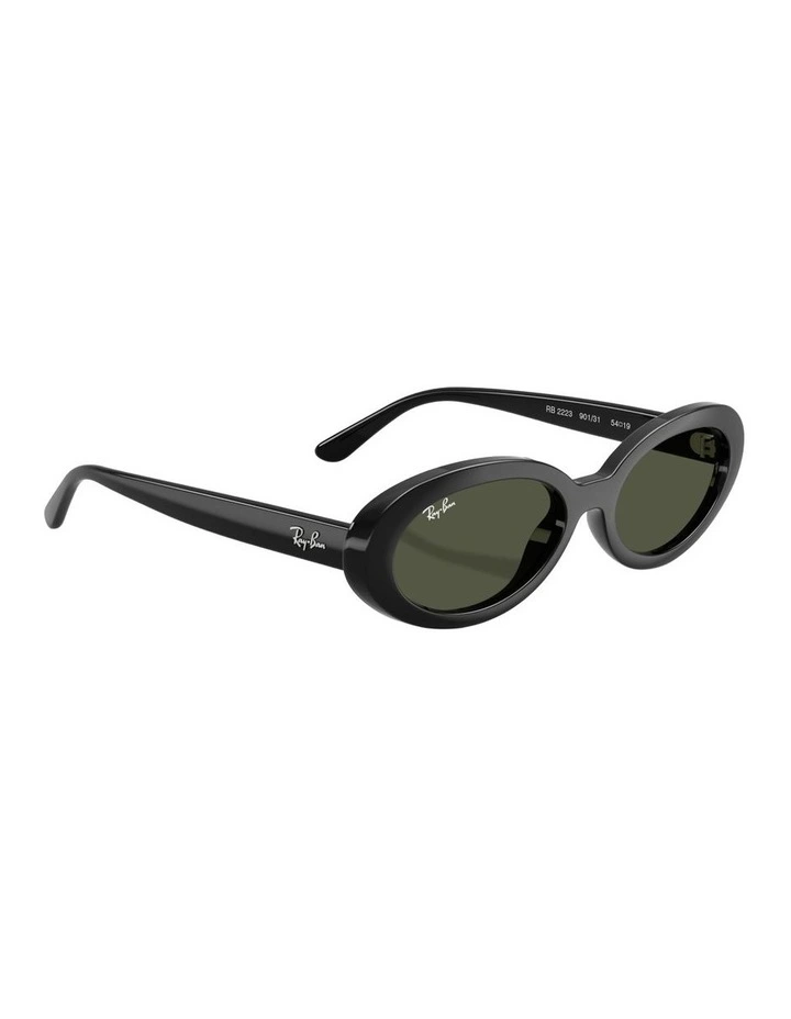 RB2223 Propionate Sunglasses in Black image 4