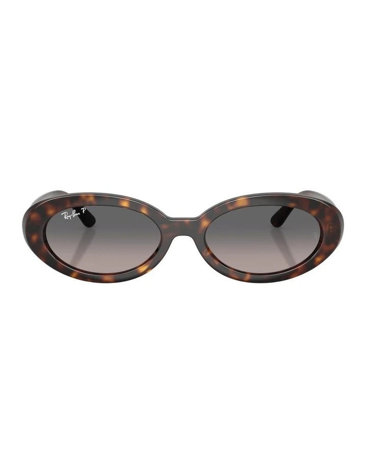 Propionate Polarised Sunglasses in Tortoise RB2223 image 1