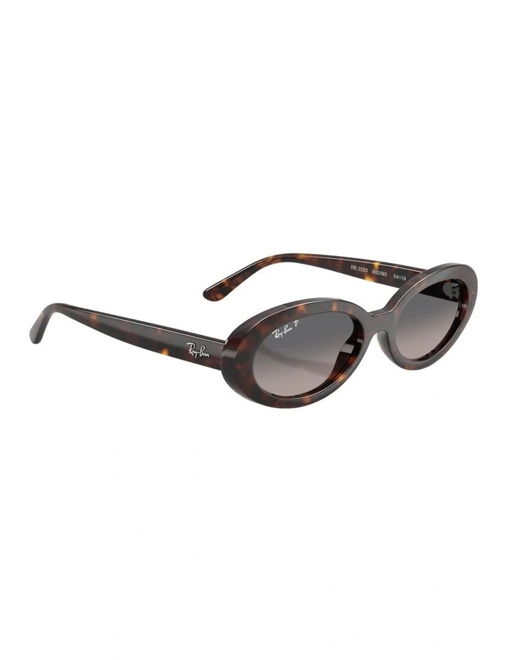 Propionate Polarised Sunglasses in Tortoise RB2223 image 4