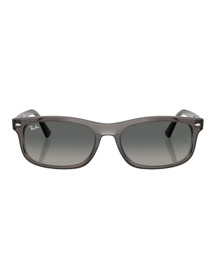 Propionate Sunglasses in Grey RB2224 image 1