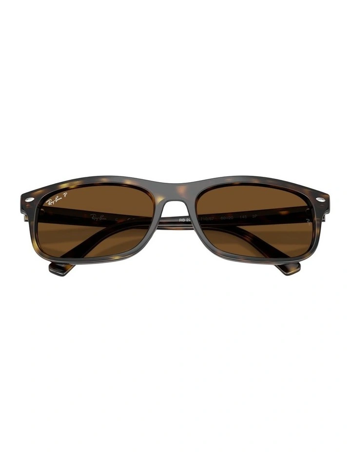 Propionate Polarised Sunglasses in Tortoise RB2224 image 3