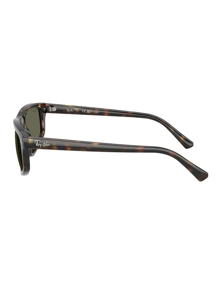 Propionate Polarised Sunglasses in Tortoise RB2225 image 3