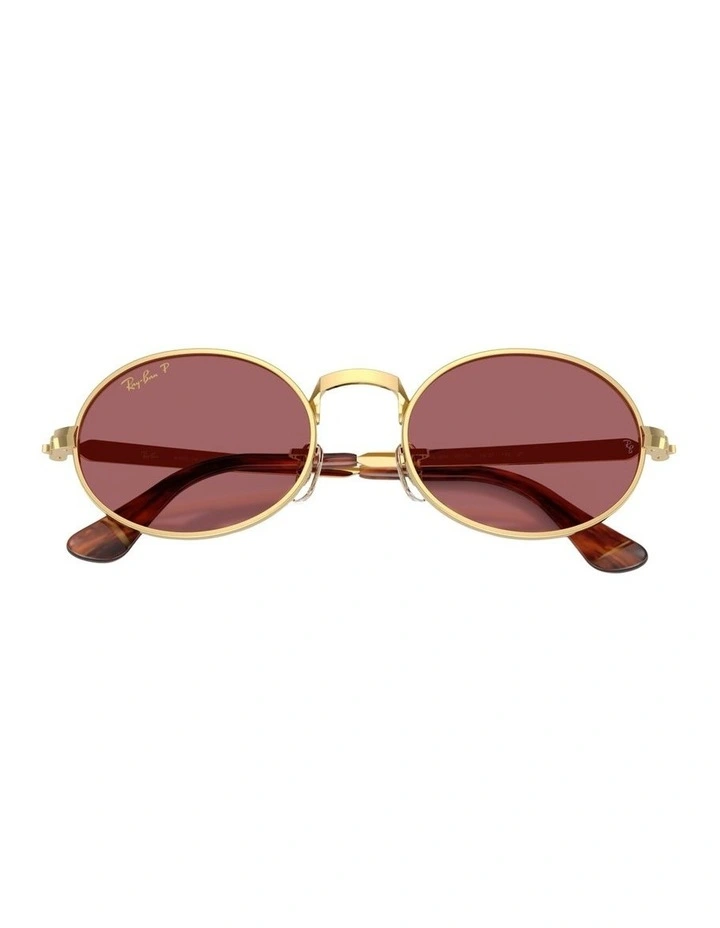 By A$AP Rocky Metal Polarised Sunglasses in Gold RB3931 image 3
