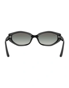 Injected Sunglasses in Black RB4473D