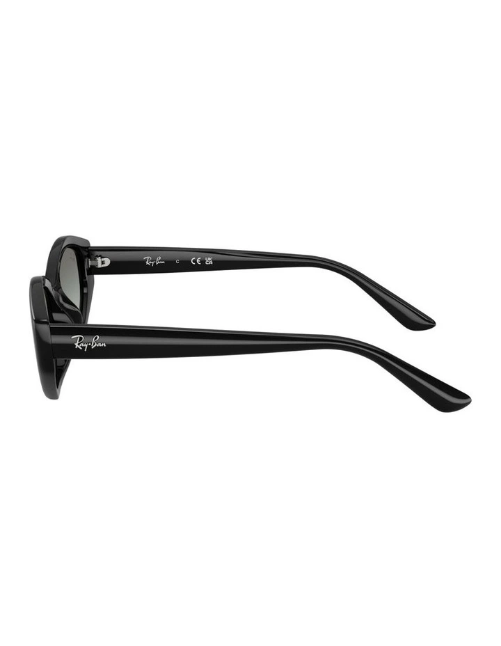Injected Sunglasses in Black RB4473D image 3
