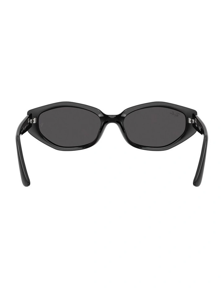 Injected Sunglasses in Black RB4473D image 1