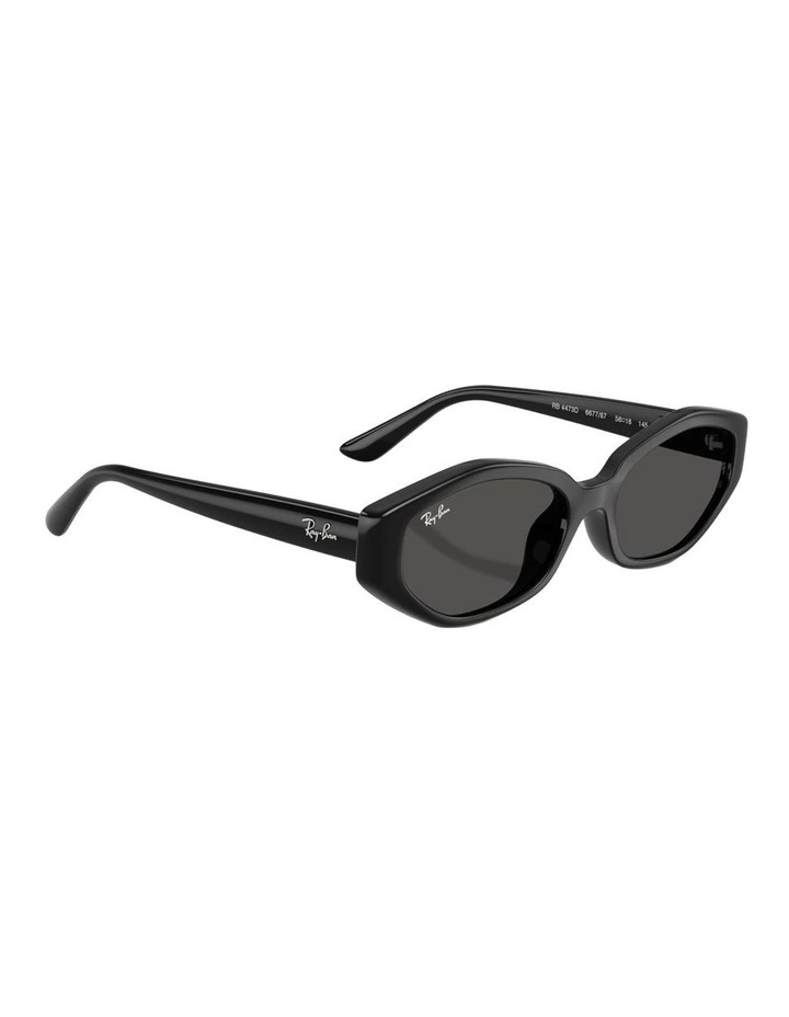 Injected Sunglasses in Black RB4473D image 5
