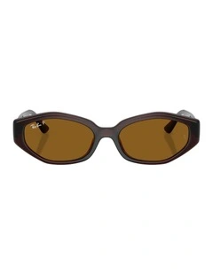 Injected Polarised Sunglasses in Brown RB4473D
