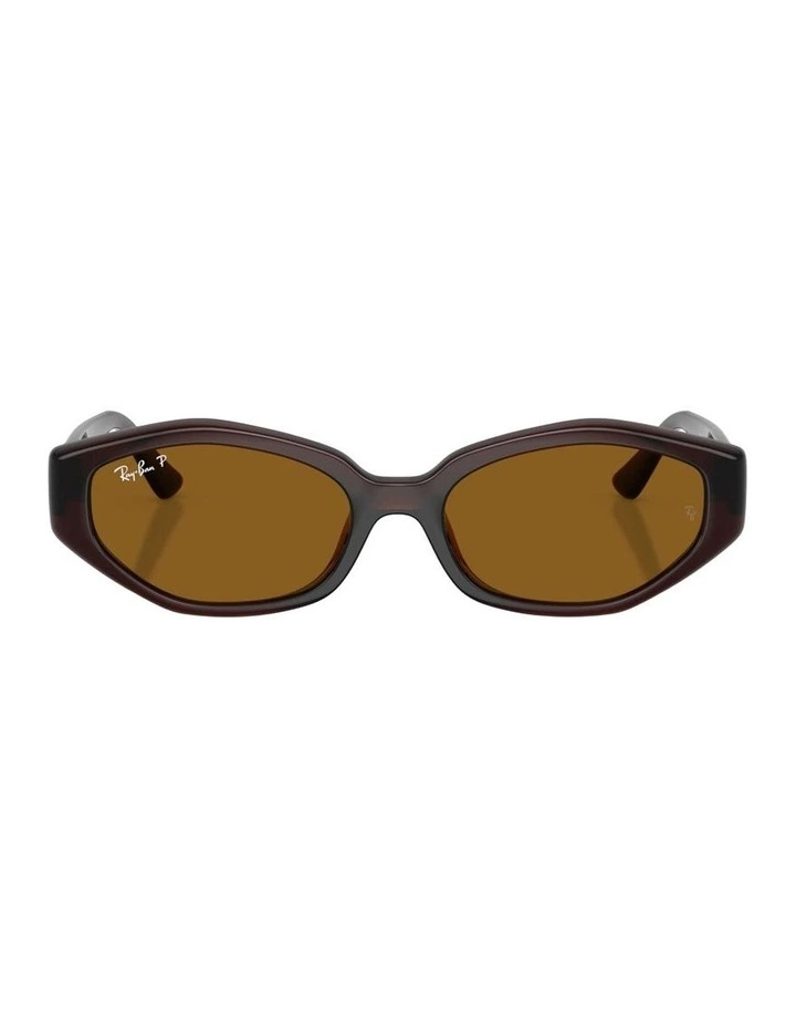 Injected Polarised Sunglasses in Brown RB4473D image 1