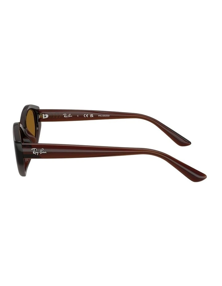 Injected Polarised Sunglasses in Brown RB4473D image 2