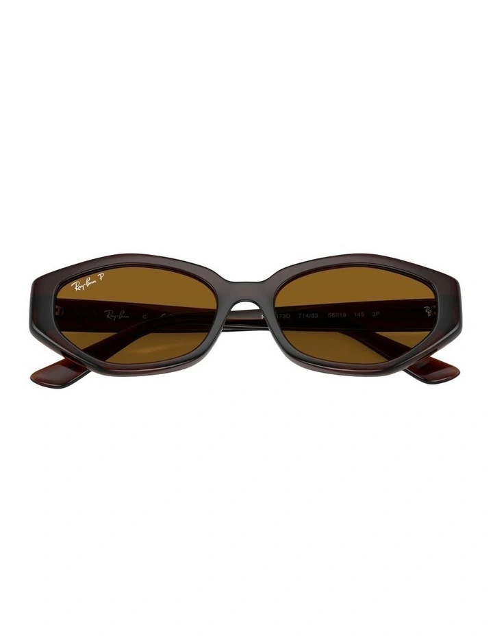 Injected Polarised Sunglasses in Brown RB4473D image 3