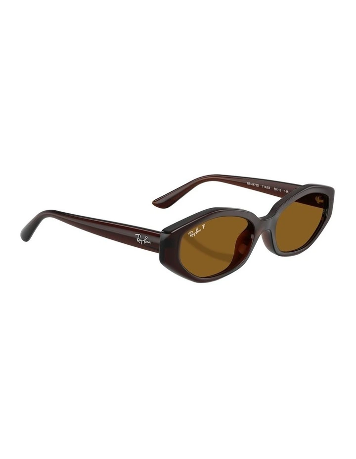 Injected Polarised Sunglasses in Brown RB4473D image 4