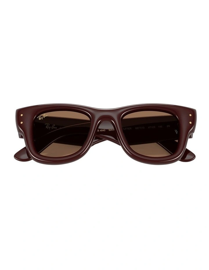 Wayfarer Puffer Nylon Sunglasses in Brown image 4