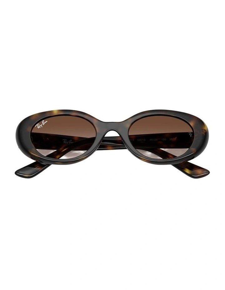 Injected Sunglasses in Tortoise RB9141S image 3