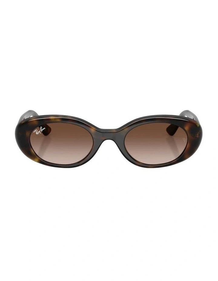 Injected Sunglasses in Tortoise RB9141S image 1