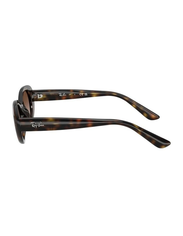 Injected Sunglasses in Tortoise RB9141S image 3