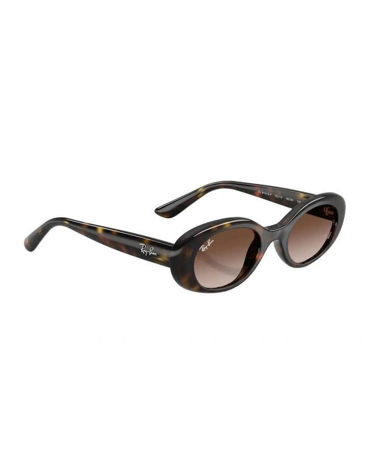 Injected Sunglasses in Tortoise RB9141S image 5