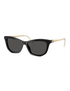 Acetate Sunglasses in Black