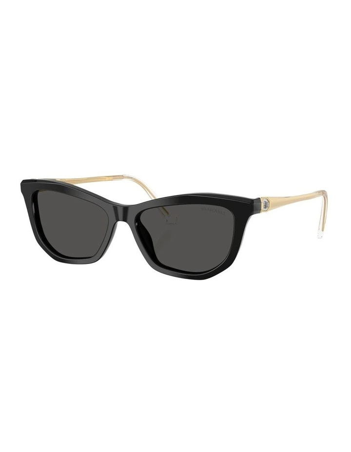 Acetate Sunglasses in Black image 1
