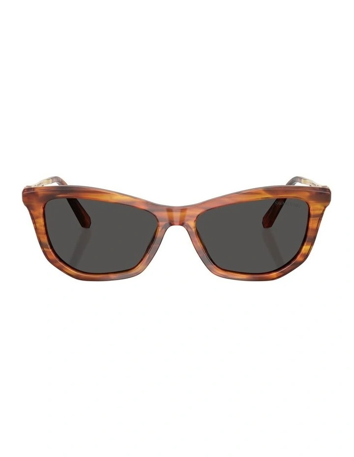 Acetate Sunglasses in Brown image 1