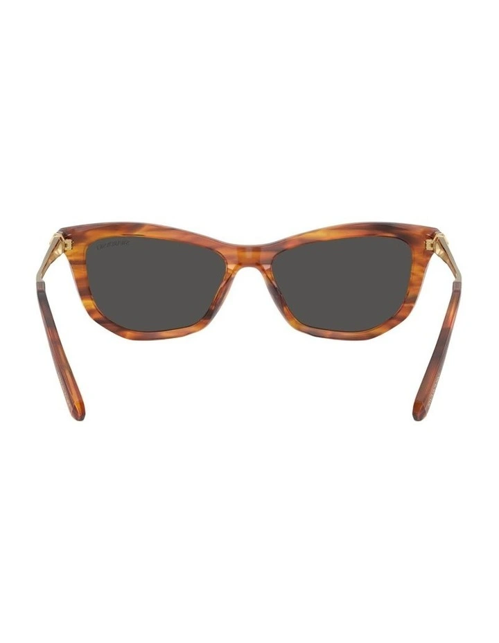 Acetate Sunglasses in Brown image 2