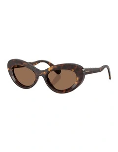Acetate Sunglasses in Tortoise