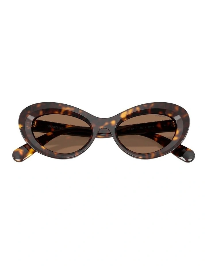 Acetate Sunglasses in Tortoise image 4