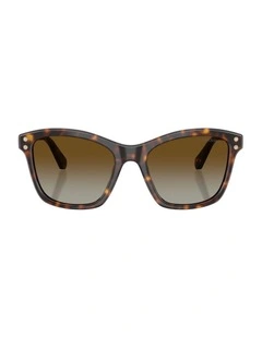 Acetate Polarised Sunglasses in Tortoise
