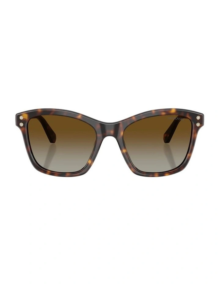 Acetate Polarised Sunglasses in Tortoise image 1
