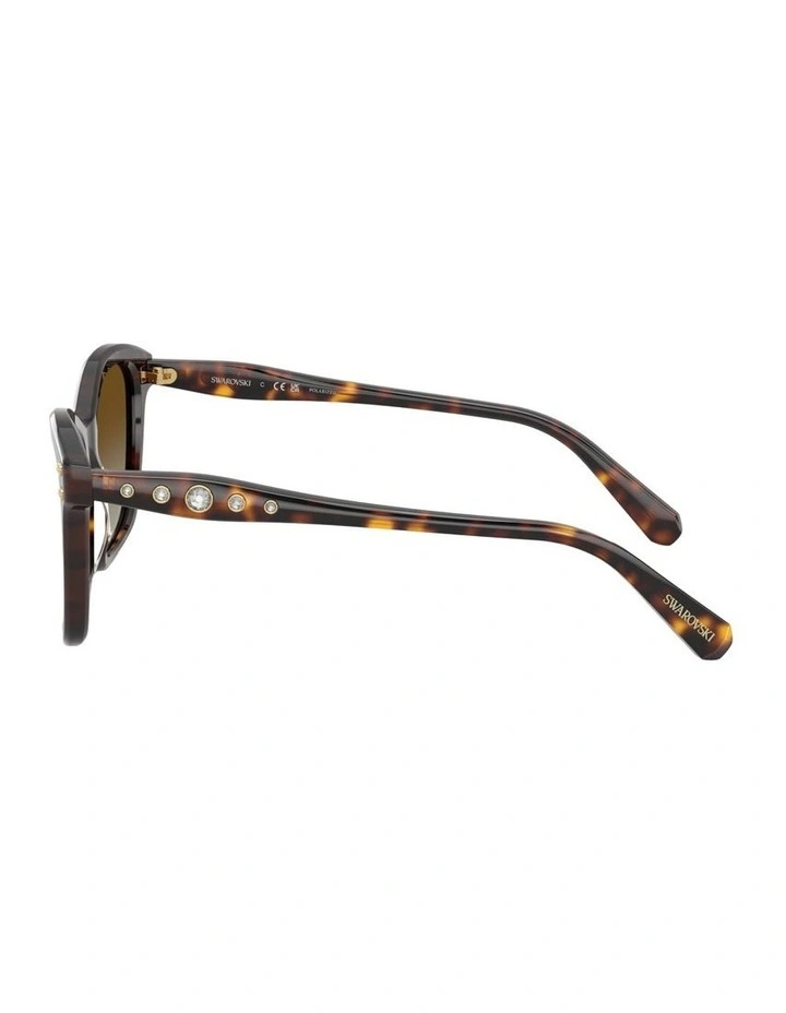 Acetate Polarised Sunglasses in Tortoise image 2
