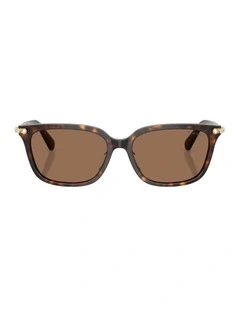 Acetate Sunglasses in Tortoise