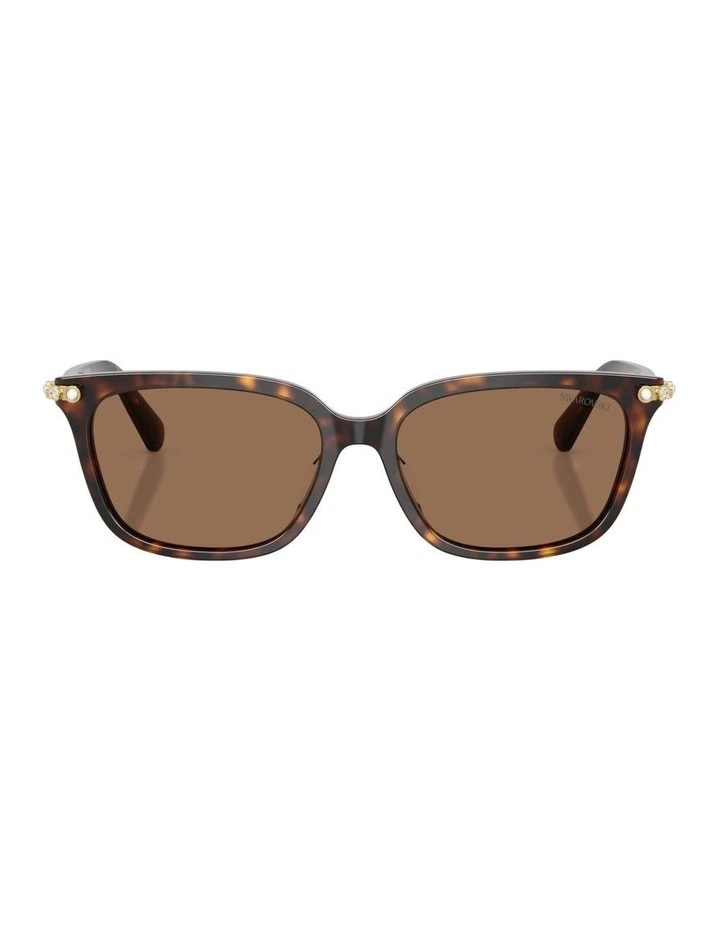 Acetate Sunglasses in Tortoise image 1